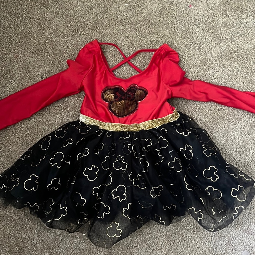 EUC Minnie leotard and tutu 18m